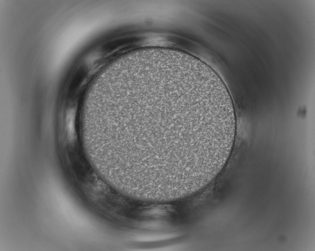 X0000113551150200910021524