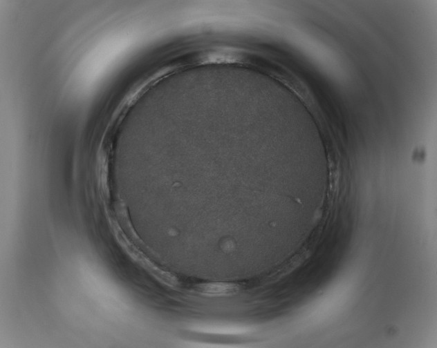 X0000113551151200910021524