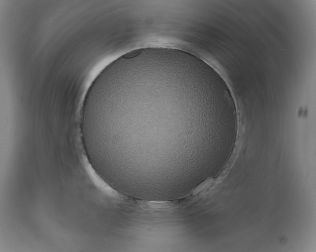 X0000113551152200910021524