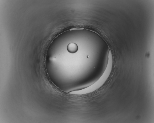 X0000113551153200910021524