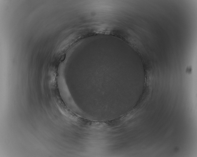 X0000113551154200910021524