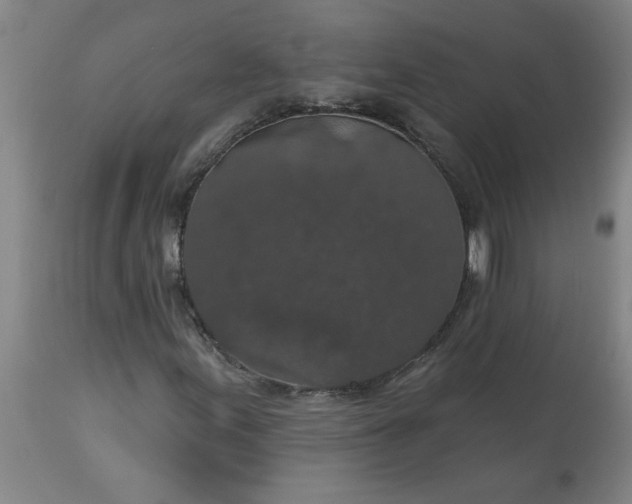 X0000113551155200910021524