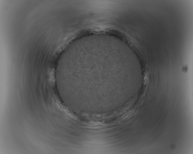 X0000113551156200910021524