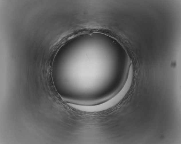 X0000113551157200910021524