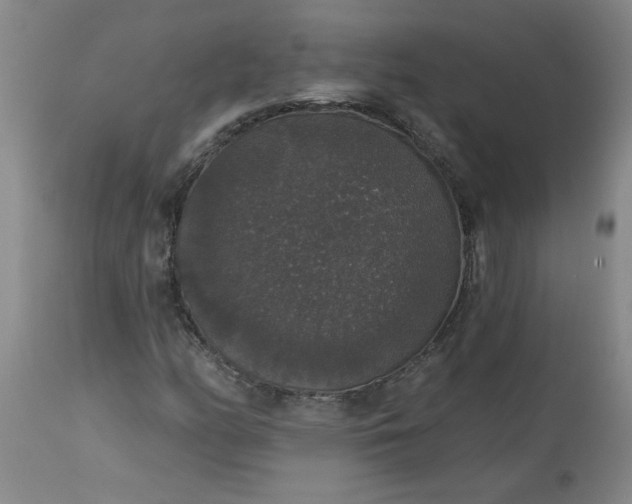 X0000113551158200910021524