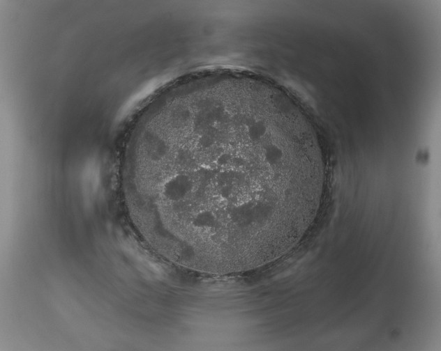 X0000113551159200910021524