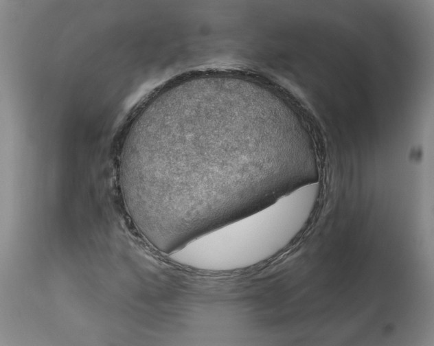 X0000113551160200910021523