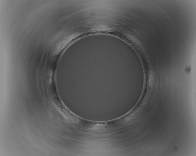 X0000113551161200910021523