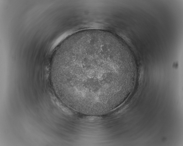 X0000113551163200910021523