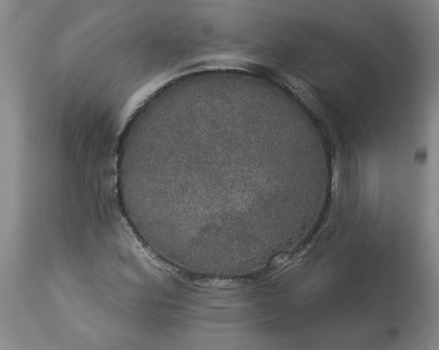 X0000113551164200910021523