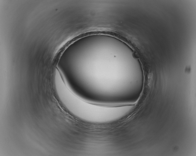 X0000113551165200910021523