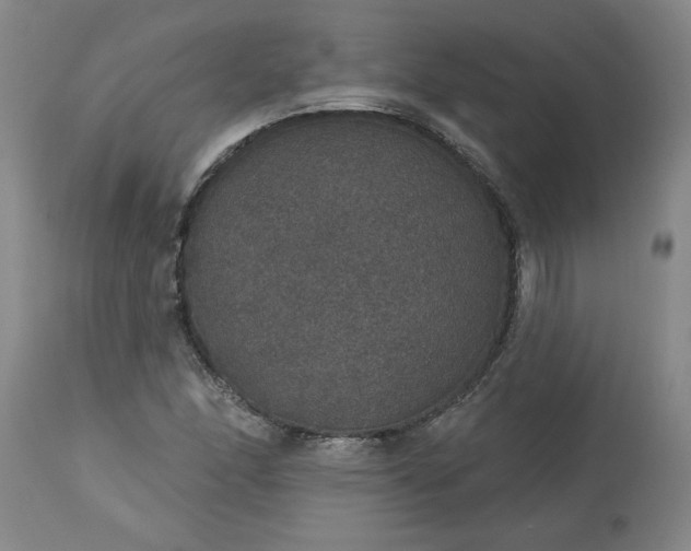 X0000113551166200910021523