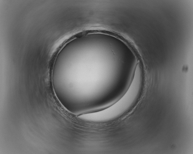 X0000113551167200910021523