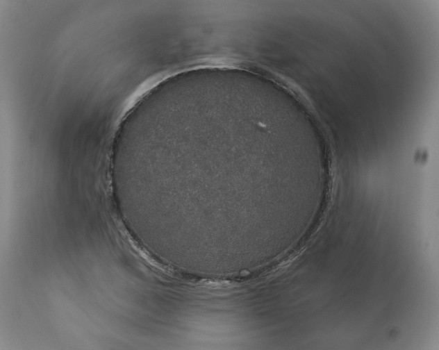 X0000113551168200910021523