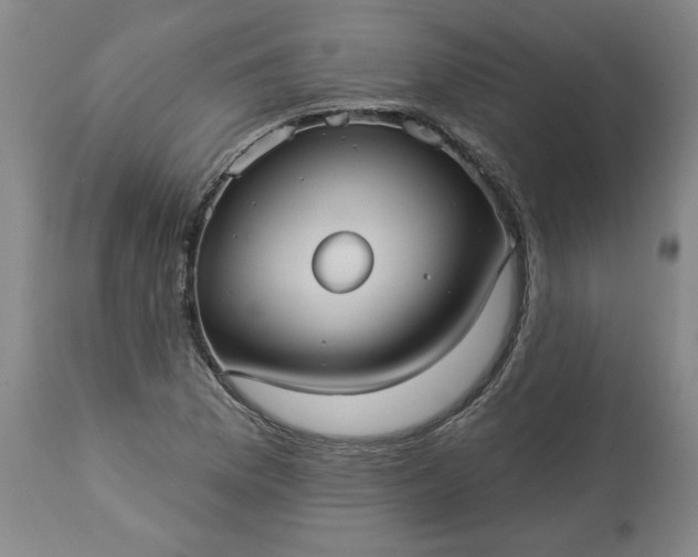 X0000113551169200910021523