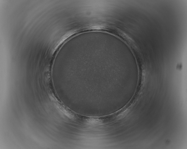 X0000113551170200910021523