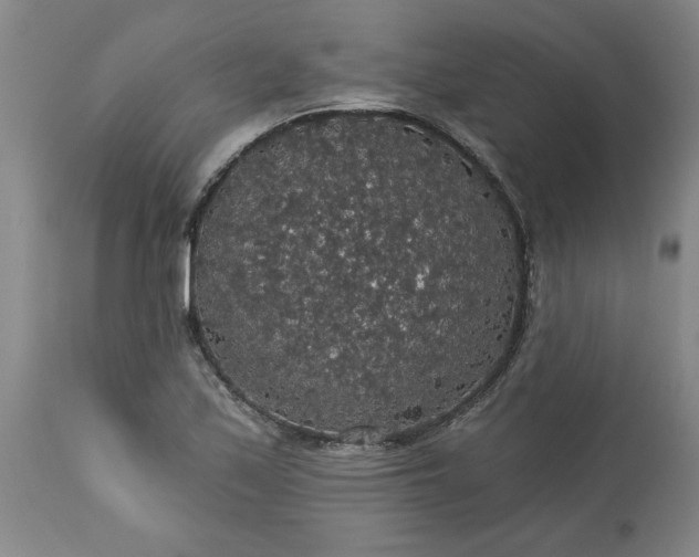 X0000113551171200910021523