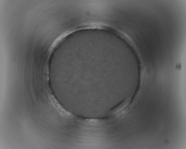 X0000113551172200910021523