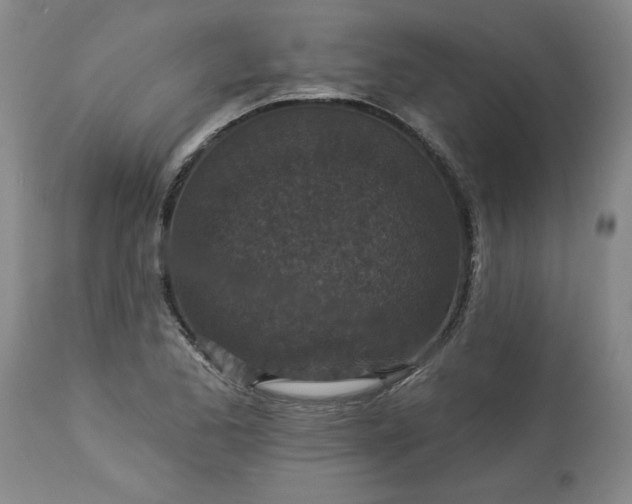 X0000113551173200910021523