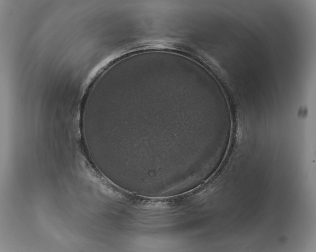 X0000113551174200910021523