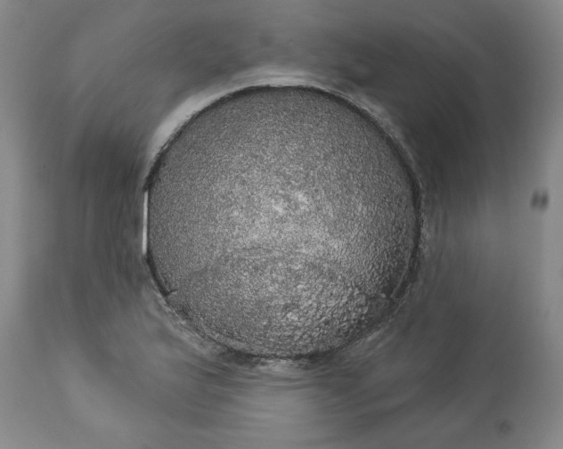 X0000113551175200910021523