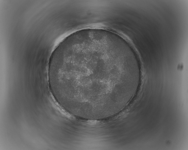 X0000113551176200910021523