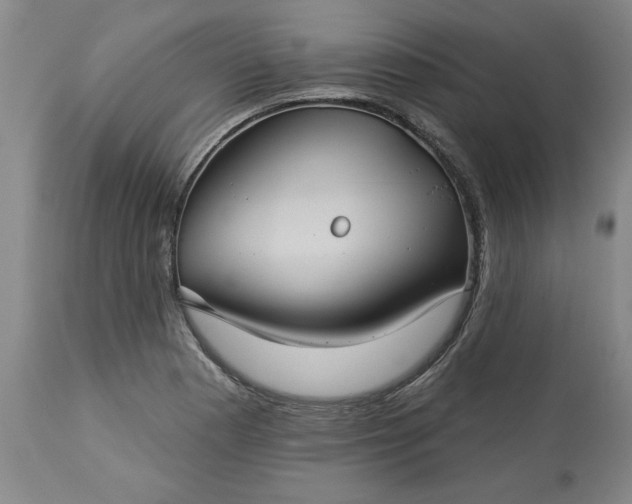 X0000113551177200910021523