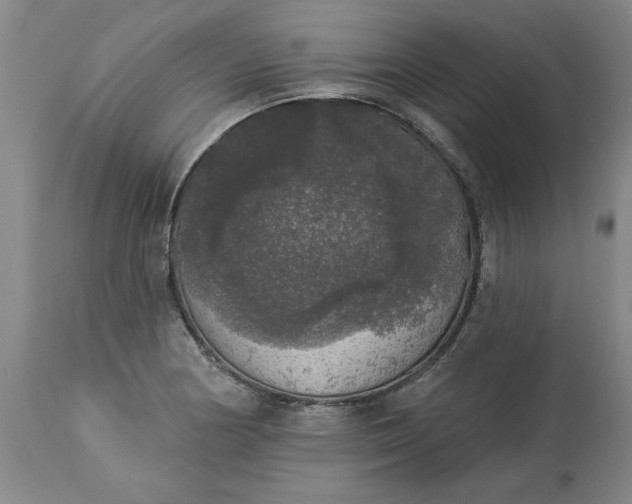 X0000113551178200910021523