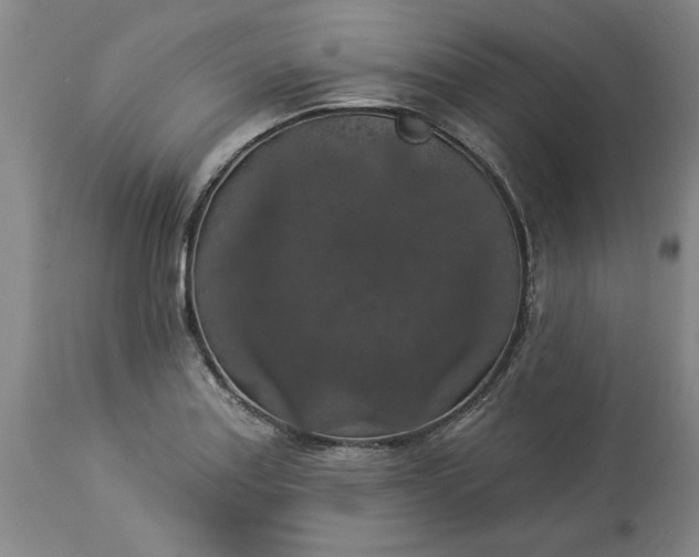 X0000113551179200910021523