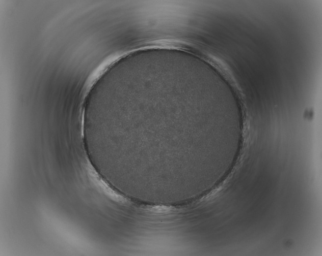 X0000113551180200910021523