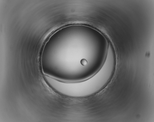 X0000113551181200910021523