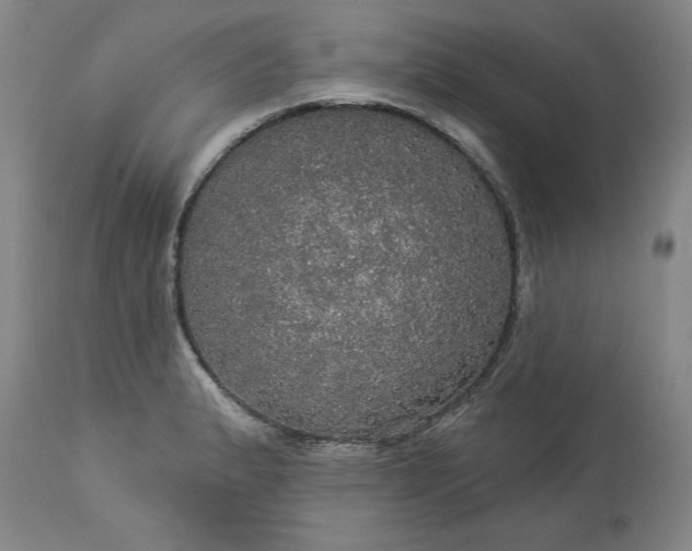 X0000113551183200910021523