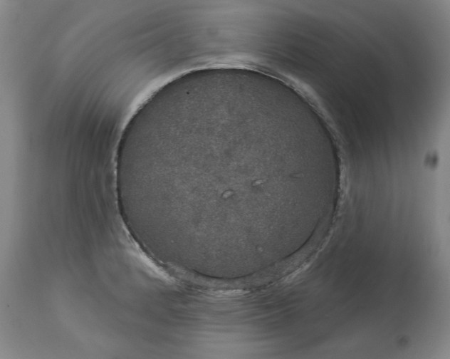 X0000113551184200910021523