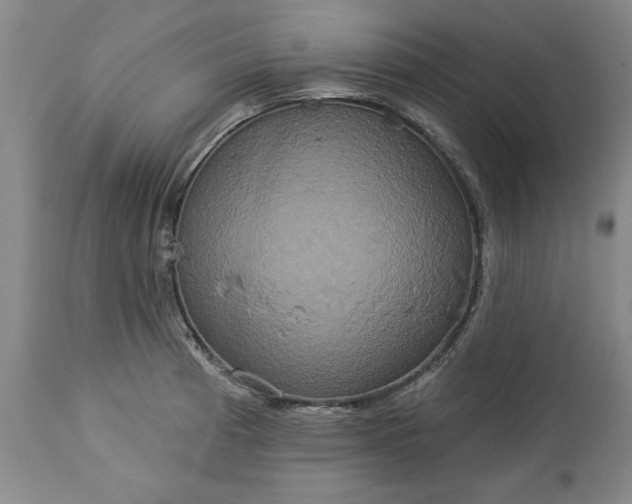 X0000113551185200910021523