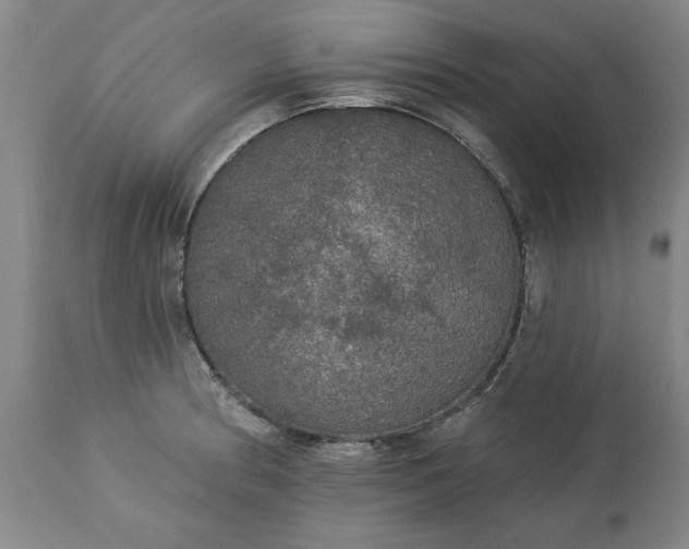 X0000113551186200910021523