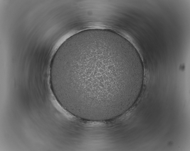 X0000113551187200910021523