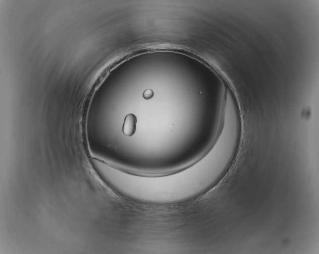 X0000113551189200910021523