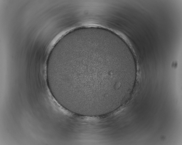 X0000113551191200910021523