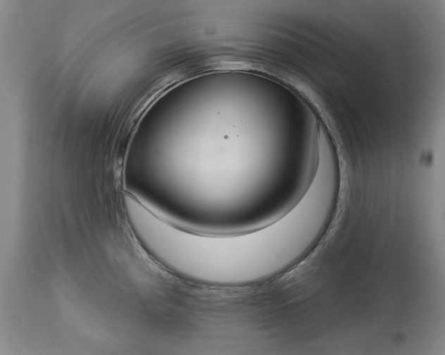 X0000113551193200910021523