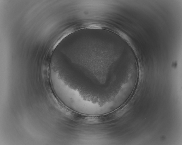 X0000113551194200910021523