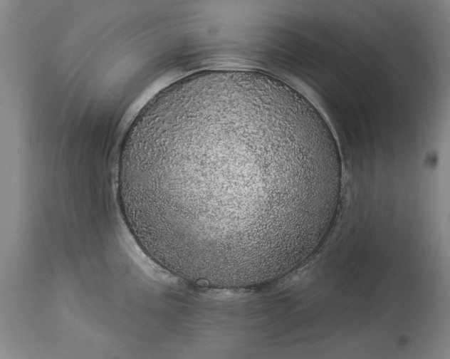 X0000113551195200910021523