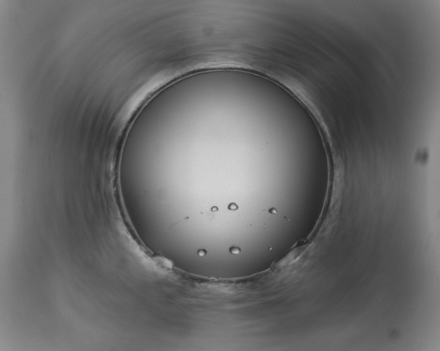 X0000113551197200910021523