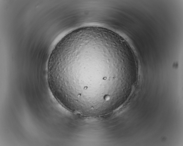 X0000113551199200910021523