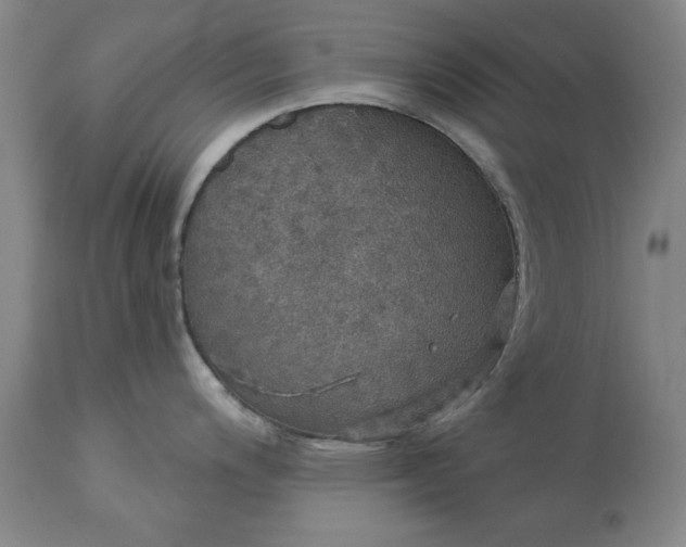 X0000113551200200910021523