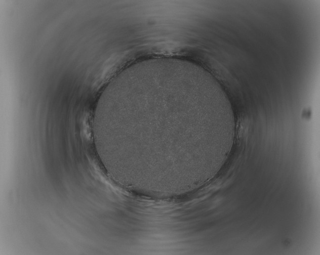 X0000113551202200910021522