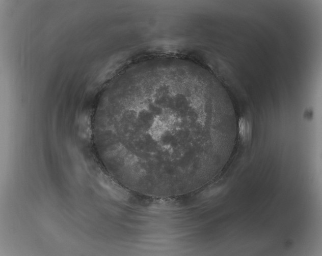 X0000113551203200910021522