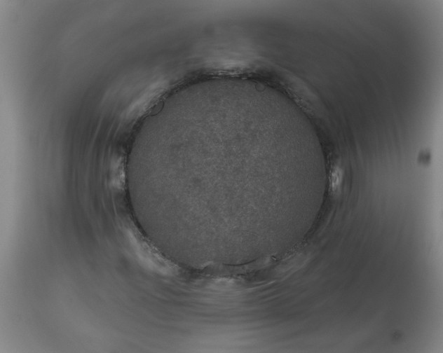 X0000113551204200910021522