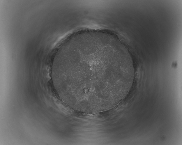 X0000113551205200910021522