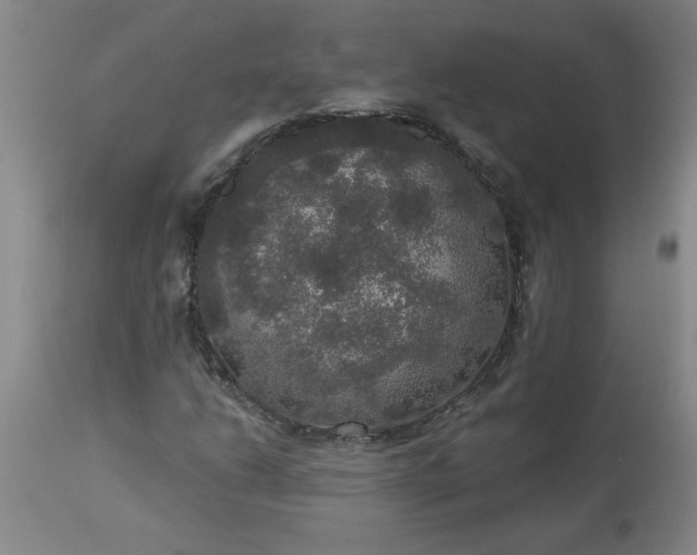 X0000113551206200910021522