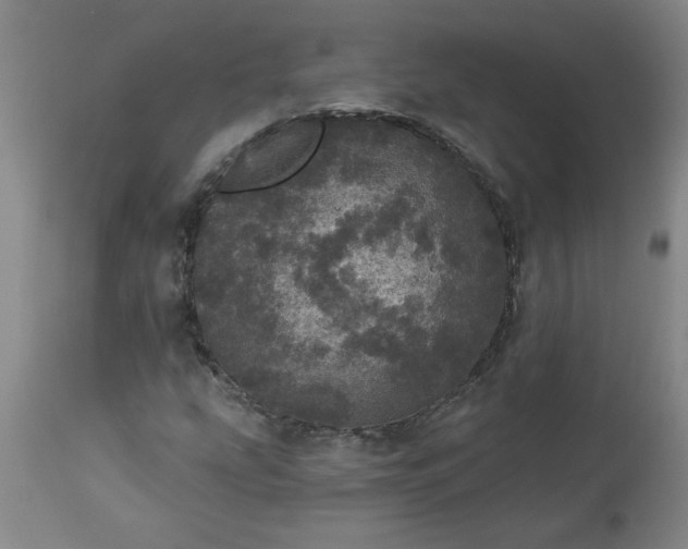 X0000113551207200910021522